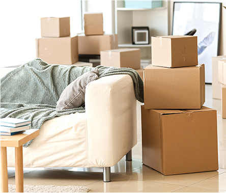 best movers in abu dhabi