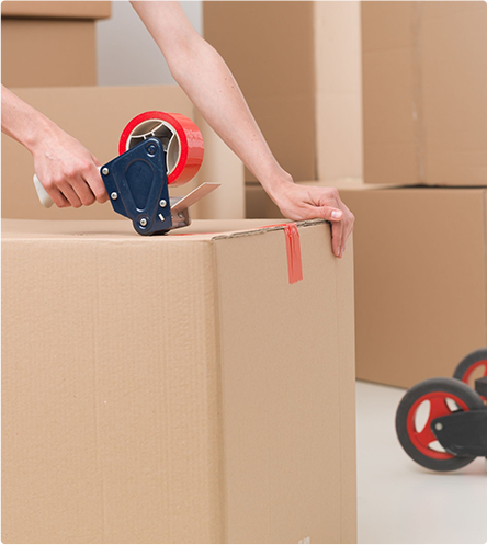professional movers and packers in dubai